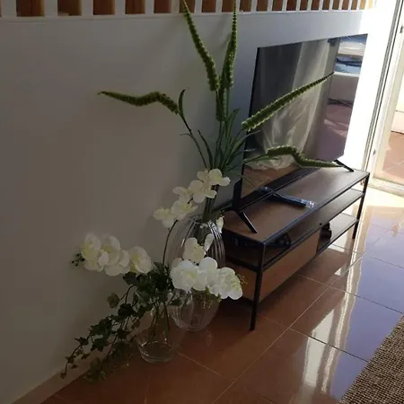 Atico La Marina Apartment